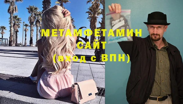 шишки Лабытнанги