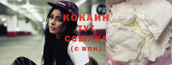 шишки Лабытнанги