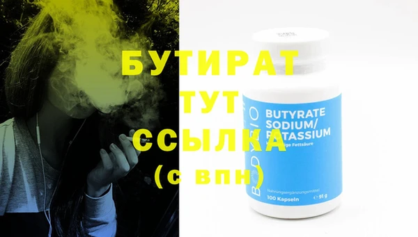 шишки Лабытнанги
