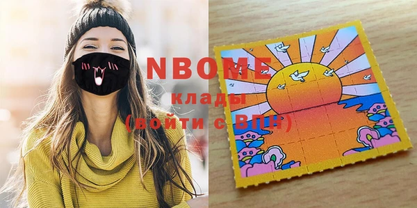 шишки Лабытнанги