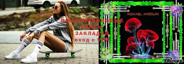 шишки Лабытнанги
