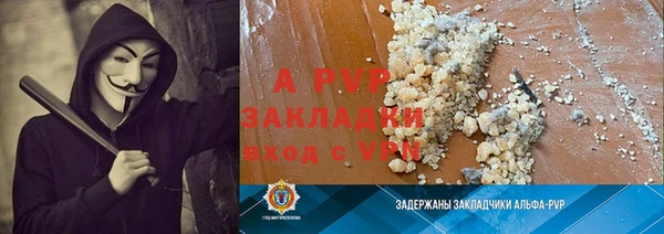 шишки Лабытнанги